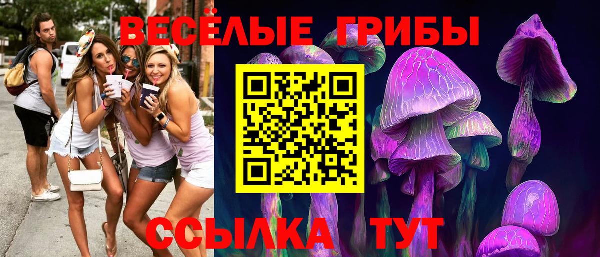 Псилоцибиновые грибы мицелий Чебаркуль