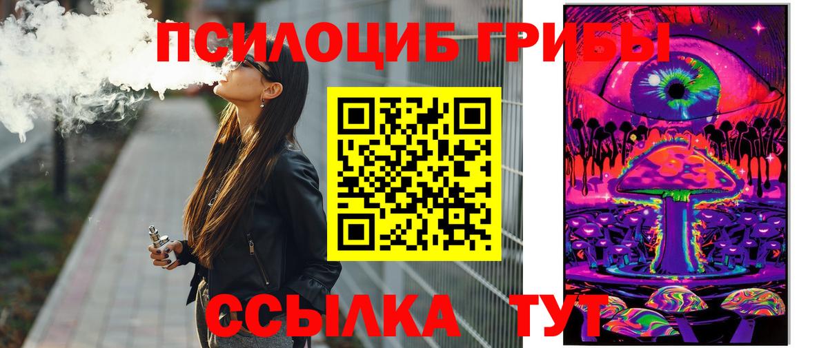 Чебаркуль  Псилоцибиновые грибы MAGIC MUSHROOMS  Псилоцибиновые грибы Cubensis  Вход с VPN 